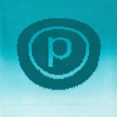 Pure Barre Teal Ombre Circle P Sticky Socks